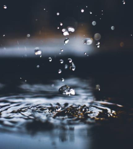 1656751428743460.jpg 18.jpg