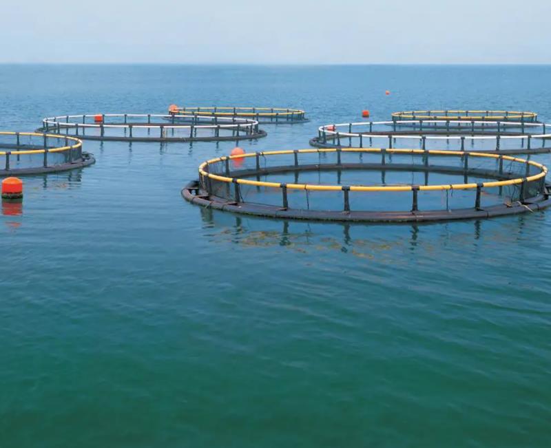 1661929088129461.jpg 養(yǎng)殖1.jpg