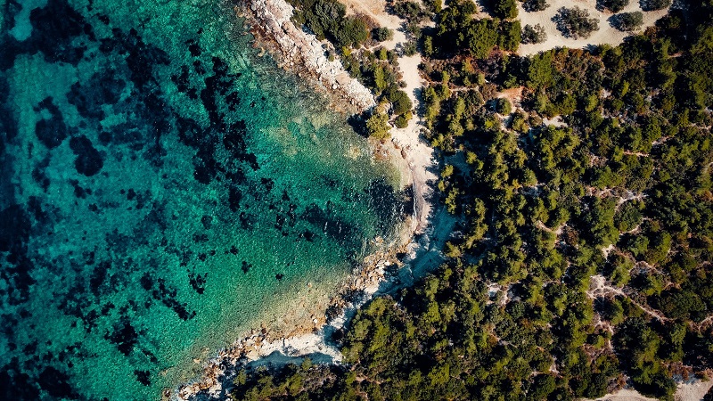 1678516698508115.jpg 88.jpg