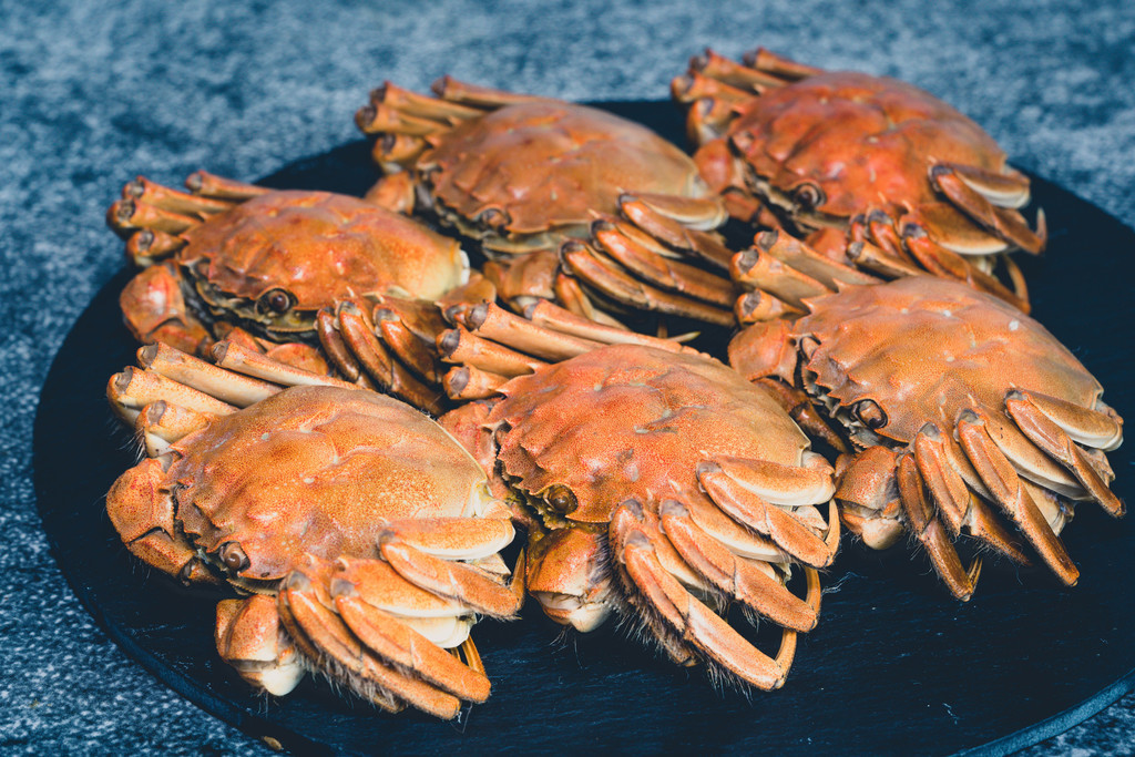 1679643032845275.jpeg 水產(chǎn)品3螃蟹.jpeg