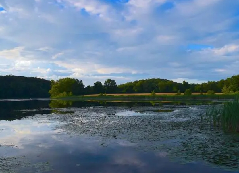 1699583815217800.jpg 1699583815217800.jpg