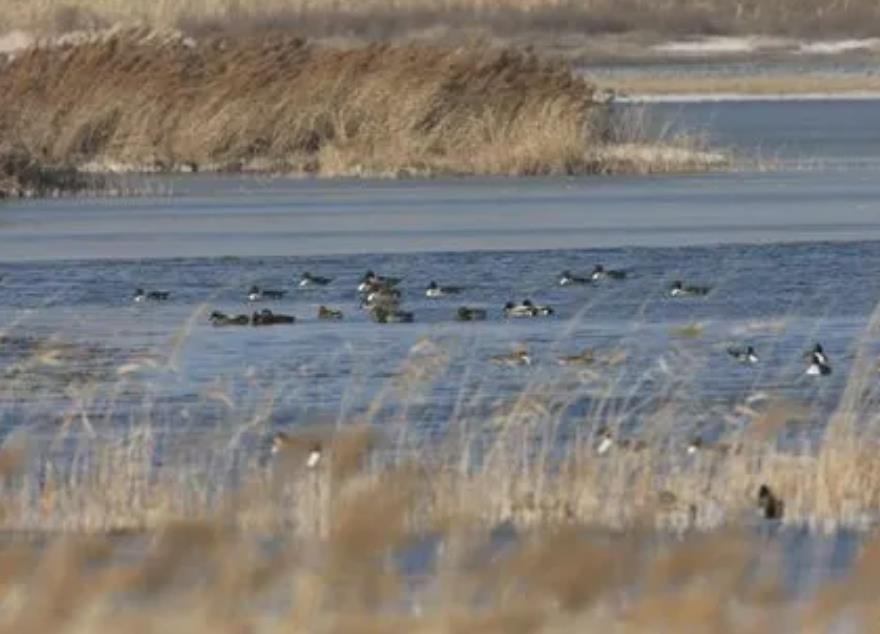 1705633049721570.jpg 1705633049721570.jpg