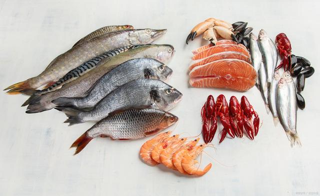 1716790605833416.jpeg 水產養殖.jpeg