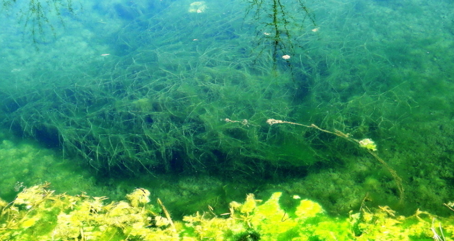 1718074797887582.png 1718074797887582.png