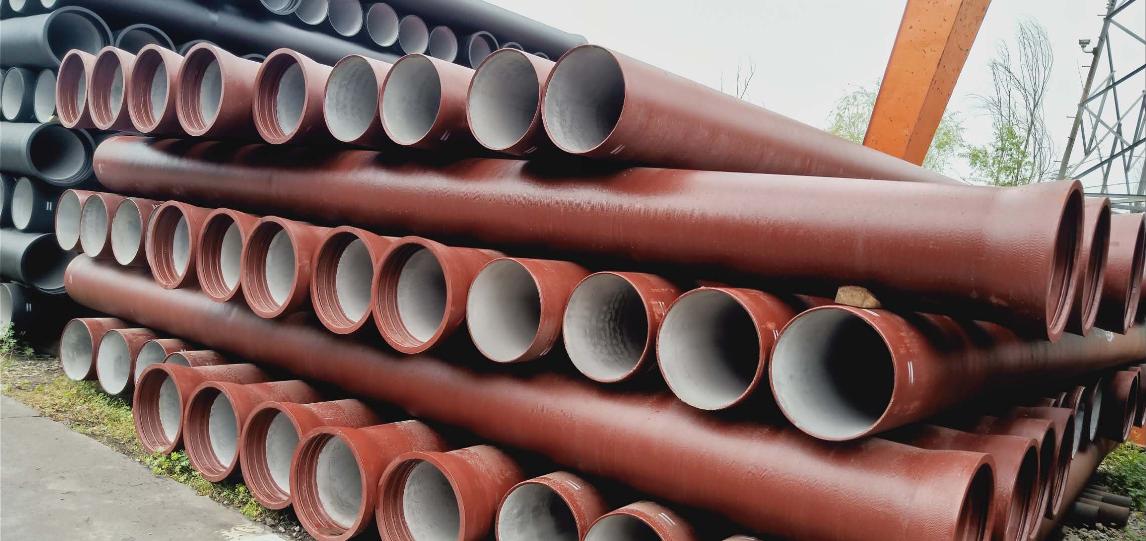 1718852260369555.jpg 1718852260369555.jpg