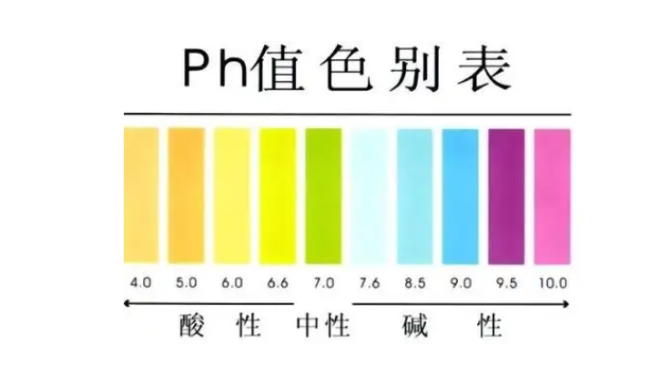 1743648633810178.jpg ph2.jpg