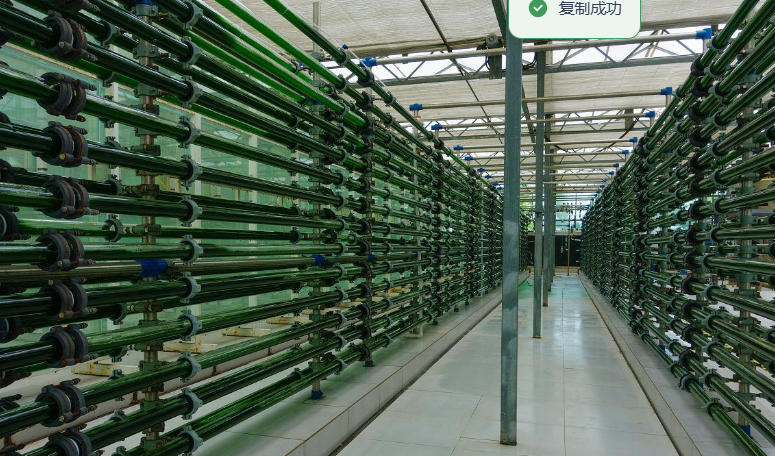 1761616091536161.jpg 1761616091536161.jpg