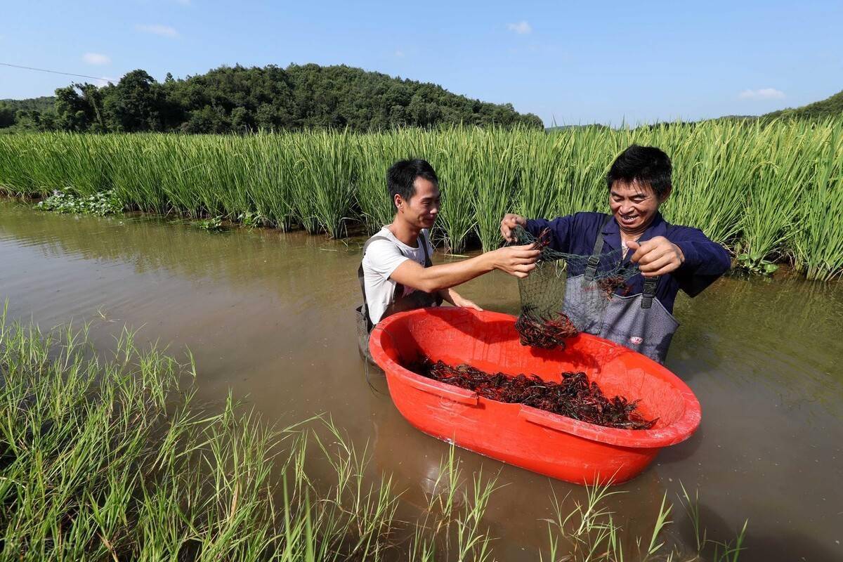 1761876637952820.jpeg 1761876637952820.jpeg