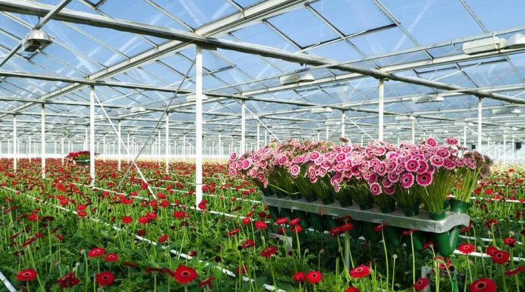 1761877134408398.jpg 花 .jpg