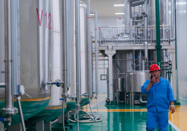 1765248596560460.jpg 木糖 .jpg