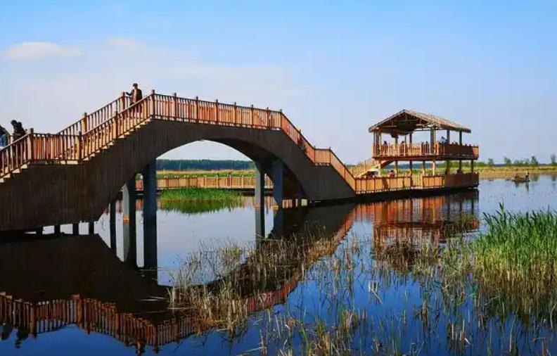 濕地公園.jpg