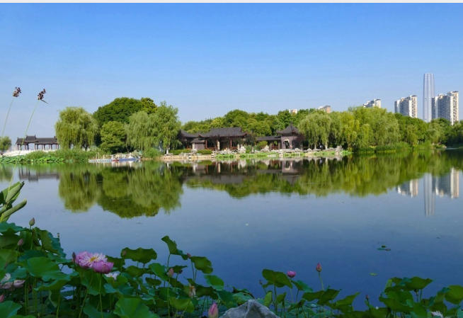 公園2.jpg